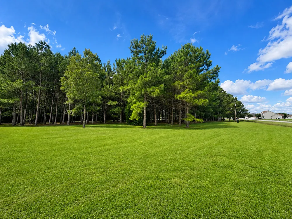 28 Bunn Road Kenly, NC 27542