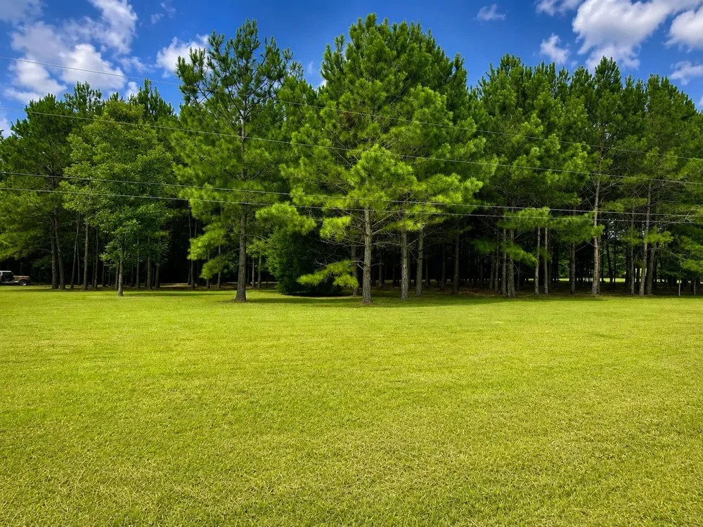 28 Bunn Road Kenly, NC 27542