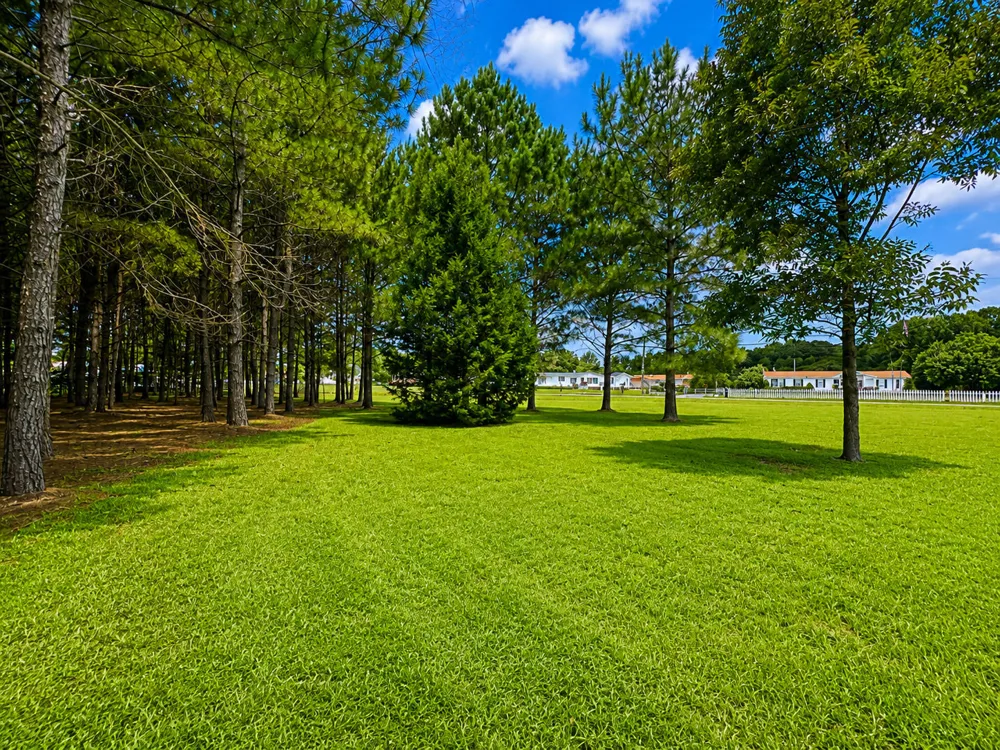28 Bunn Road Kenly, NC 27542