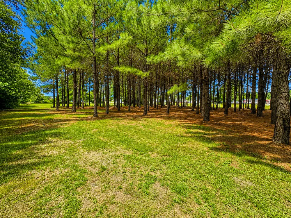 28 Bunn Road Kenly, NC 27542