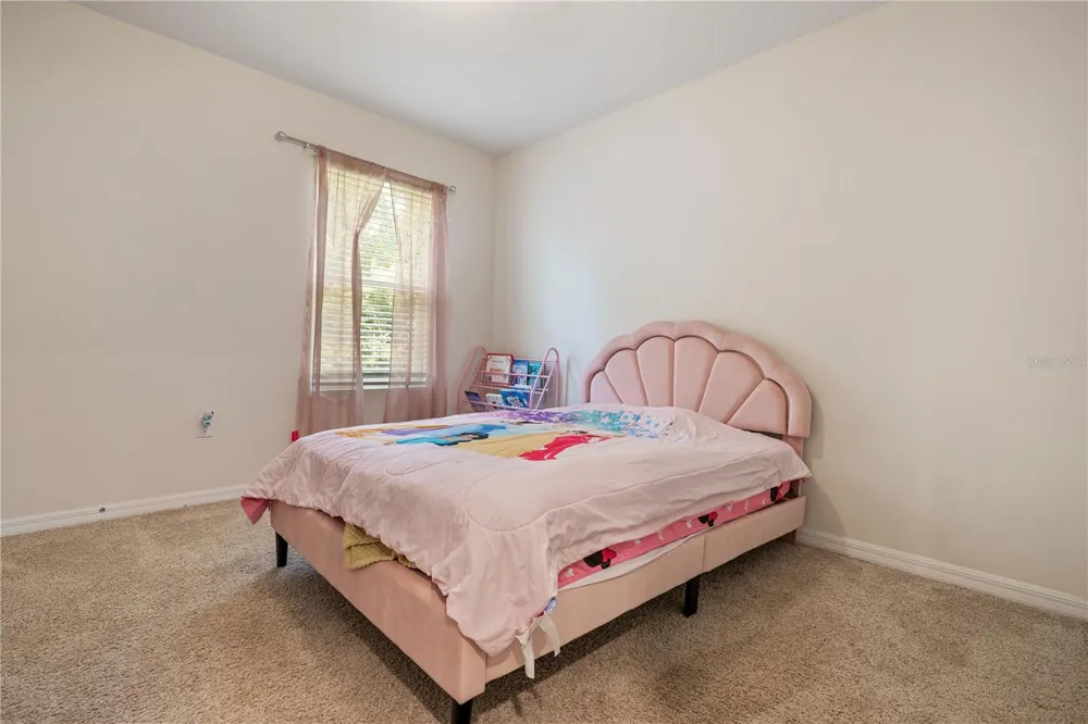 9210 WATOLLA DRIVE Thonotosassa, FL 33592