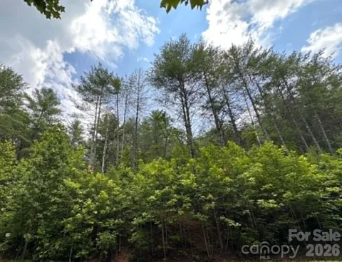TBD Rock Cliff Drive