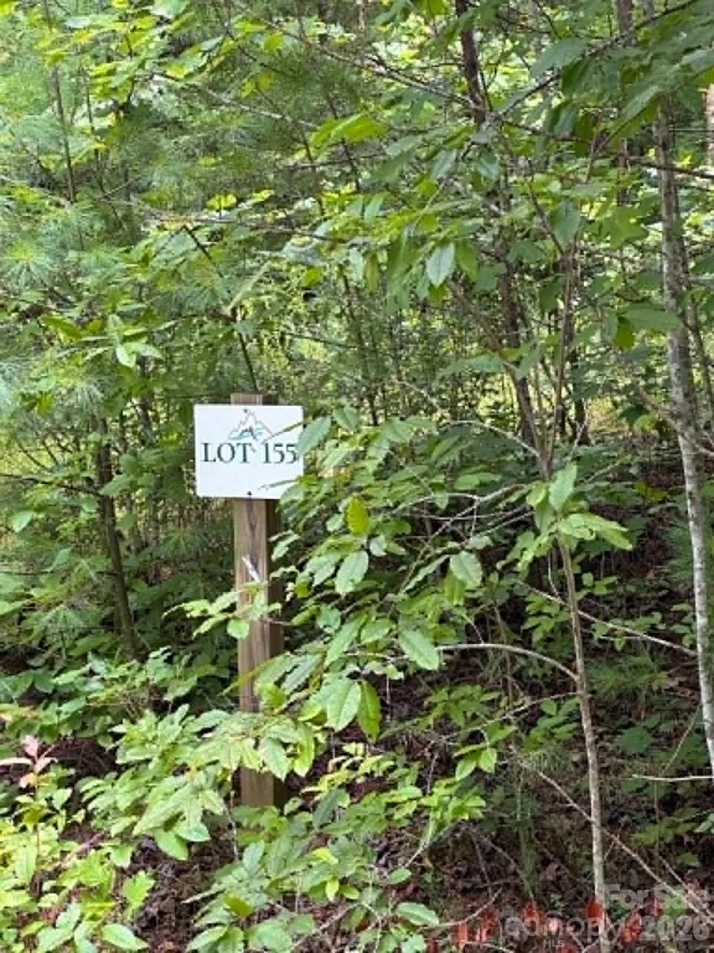 TBD Rock Cliff Drive Collettsville, NC 28611