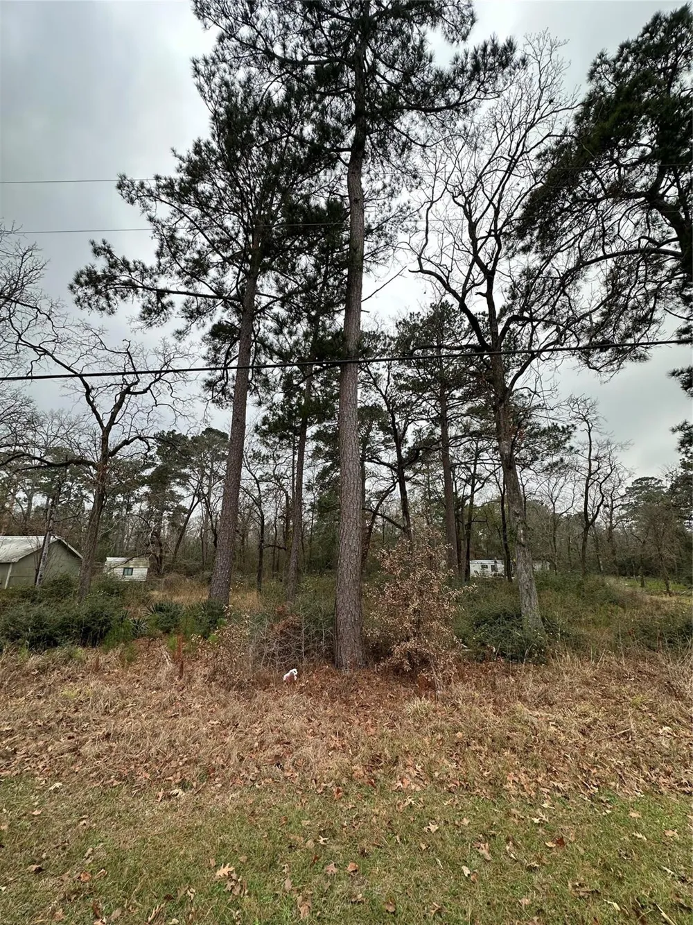 Mary Drive Huntsville, TX 77320