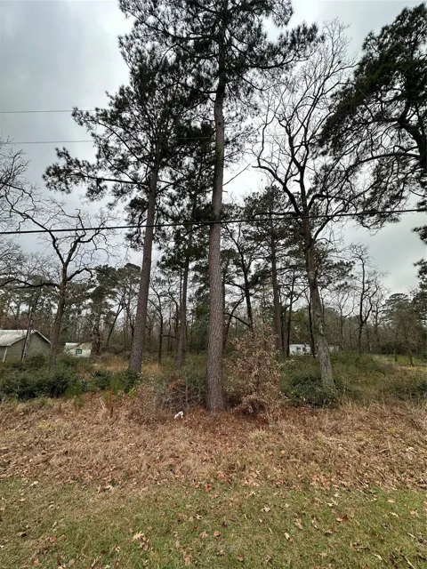 Mary Drive