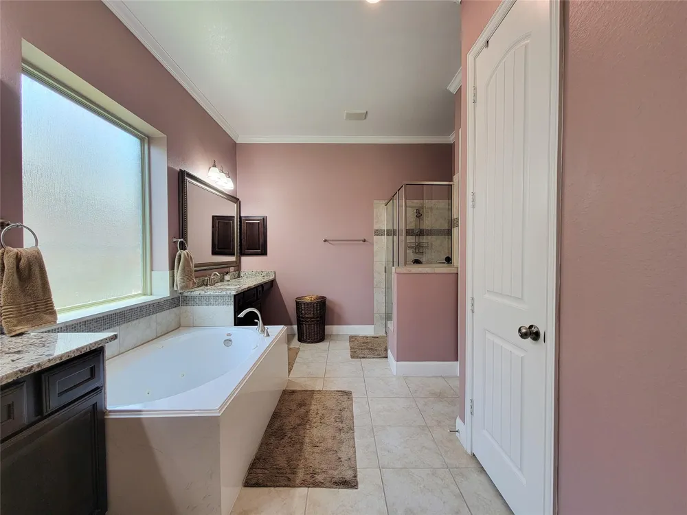 4239 Dalea Clover Lane Manvel, TX 77578