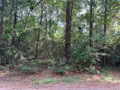 1006 Jefferson River Circle