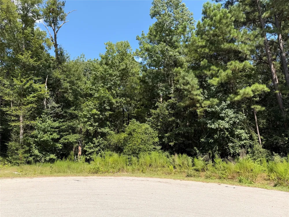 97 Granite Road Huntsville, TX 77340