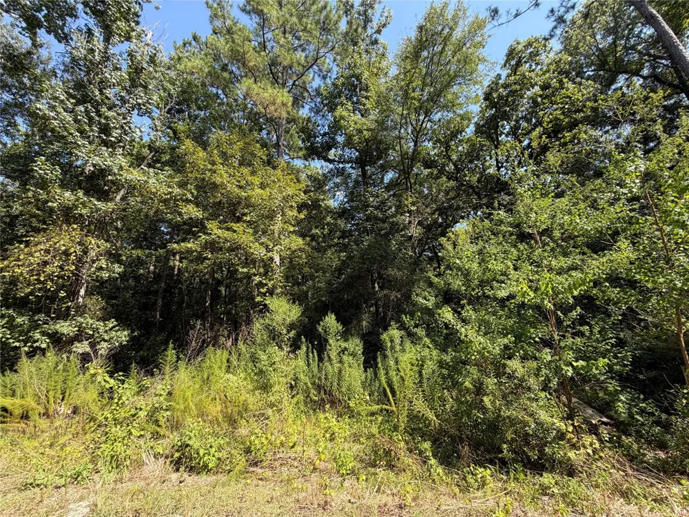 97 Granite Road Huntsville, TX 77340