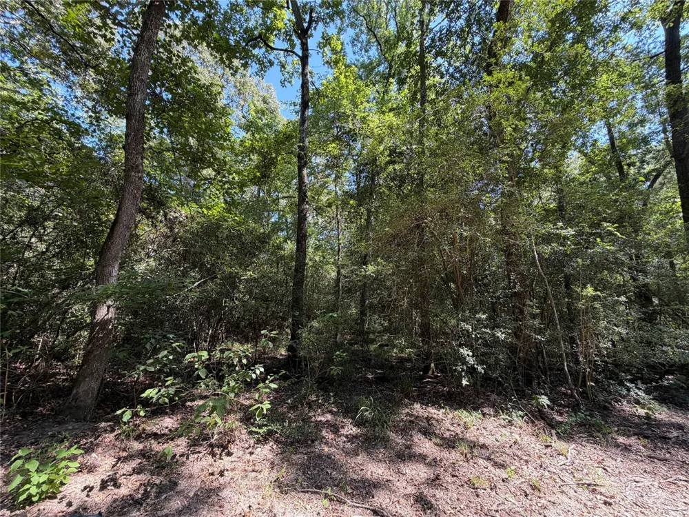 97 Granite Road Huntsville, TX 77340