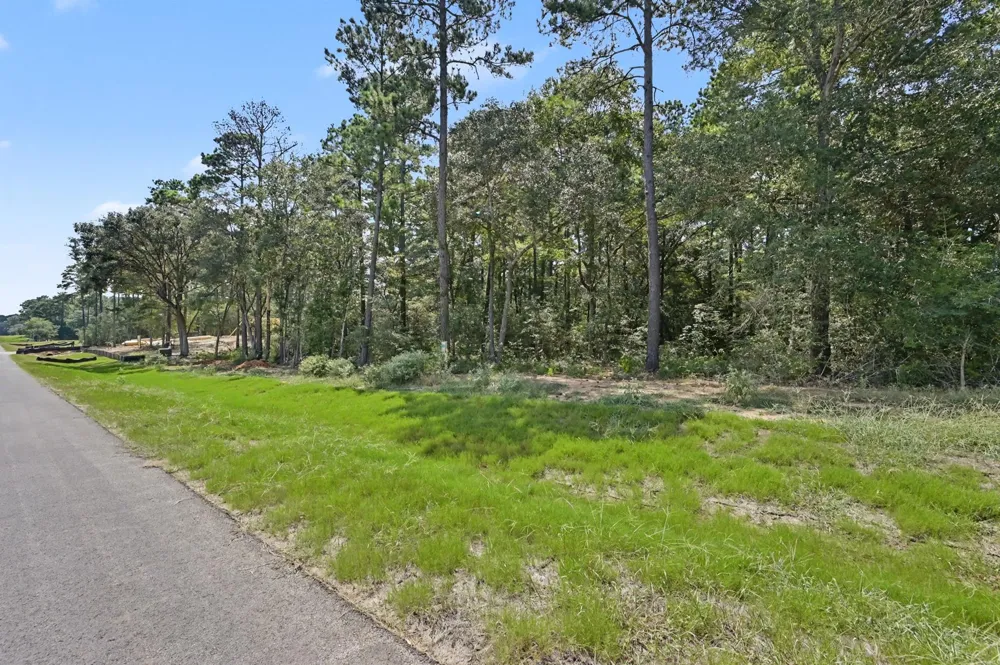 9726 Oakland Park Boulevard Plantersville, TX 77363