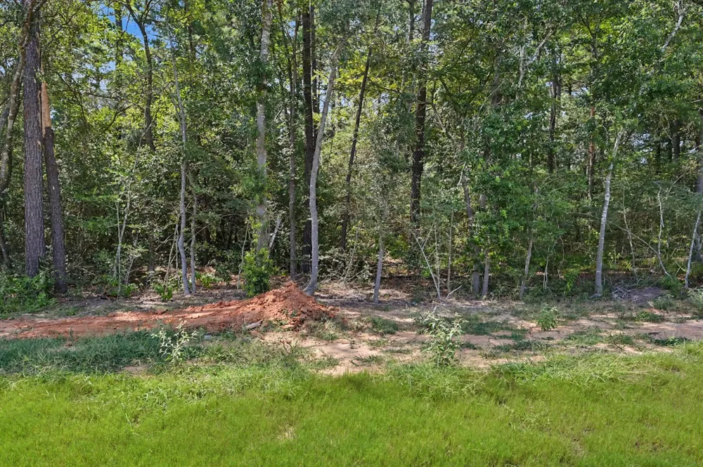 9726 Oakland Park Boulevard Plantersville, TX 77363