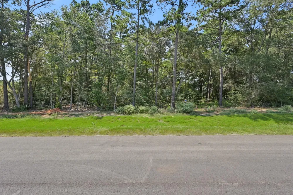 9726 Oakland Park Boulevard Plantersville, TX 77363