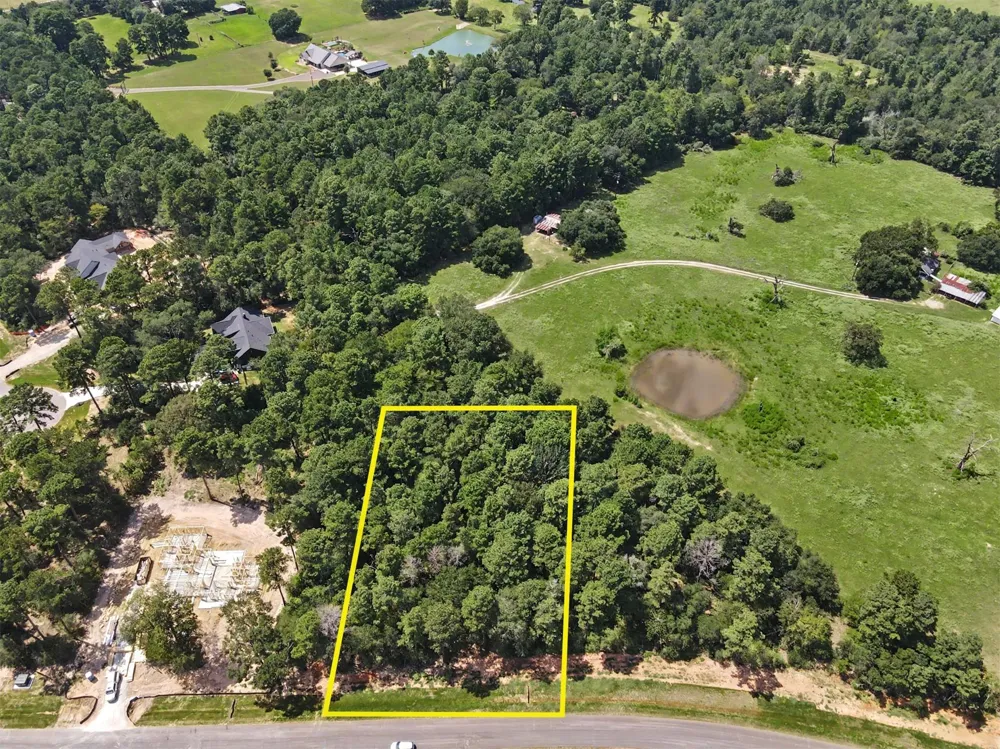 9726 Oakland Park Boulevard Plantersville, TX 77363