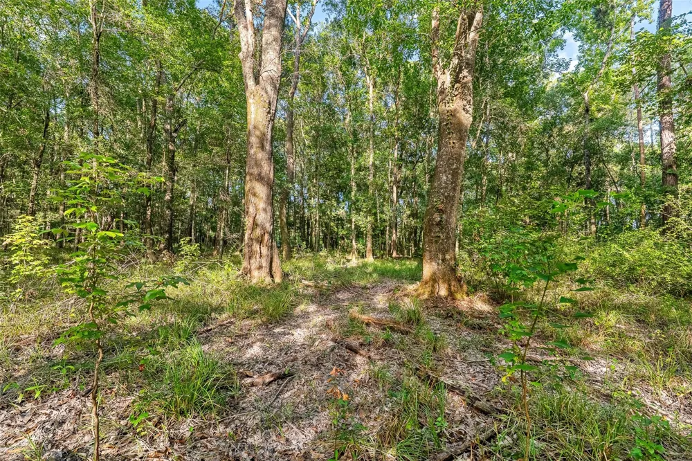 12626 Highway 105 Cleveland, TX 77327