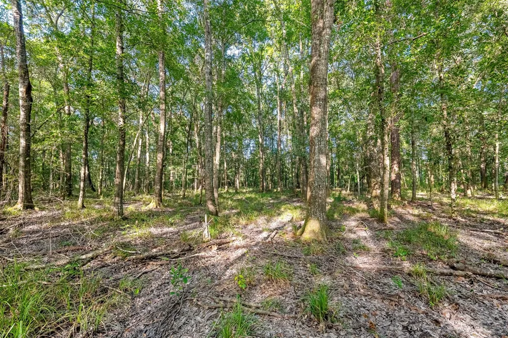 12626 Highway 105 Cleveland, TX 77327