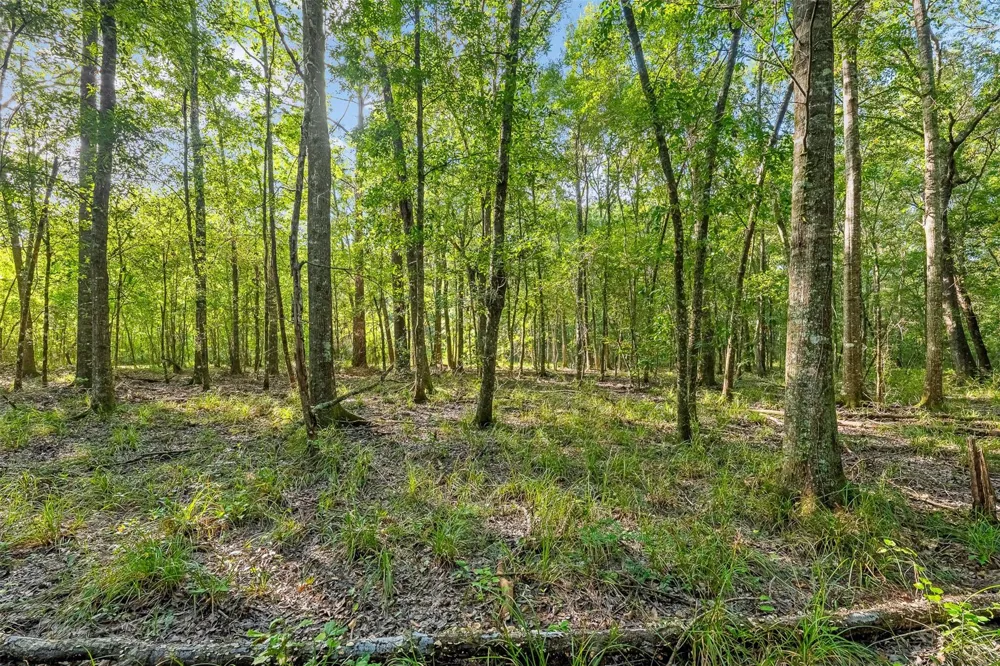 12626 Highway 105 Cleveland, TX 77327