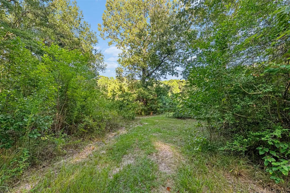 12626 Highway 105 Cleveland, TX 77327