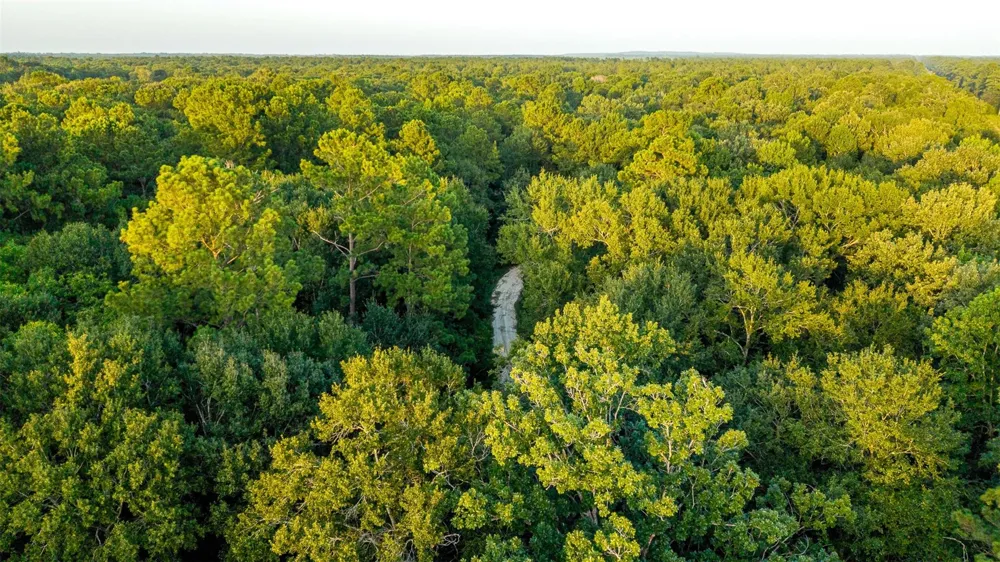 12626 Highway 105 Cleveland, TX 77327