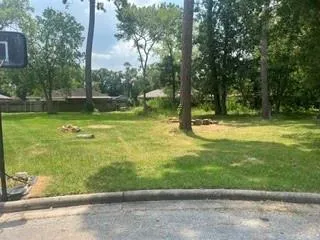 715 Sailfin Court
