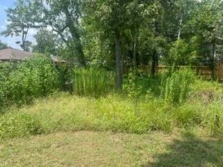 715 Sailfin Court Crosby, TX 77532