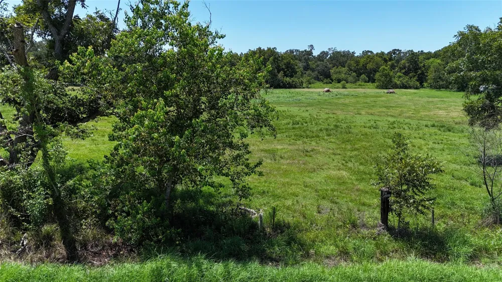 County Road 748 Nar Rosharon, TX 77583