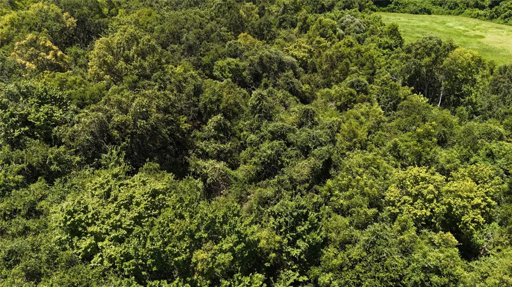 County Road 42 Lots 2a5-2a6 Rosharon, TX 77583