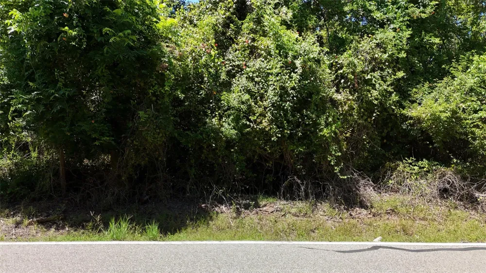 County Road 42 Lots 2a5-2a6 Rosharon, TX 77583