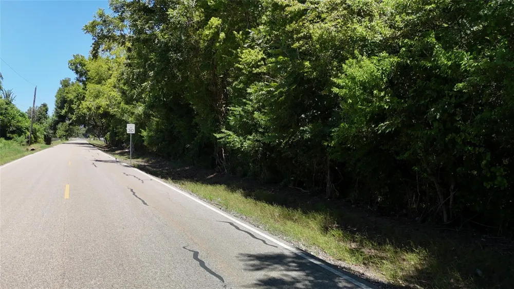County Road 42 Lots 2a5-2a6 Rosharon, TX 77583