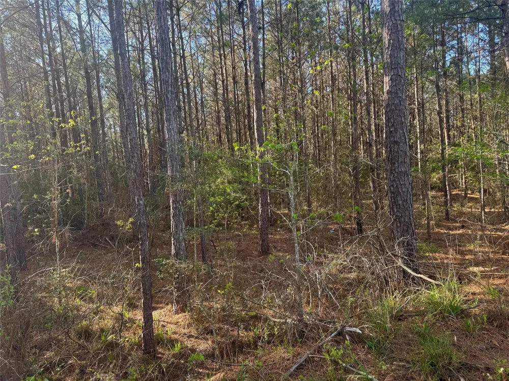107 Hwy 156 Coldspring, TX 77331