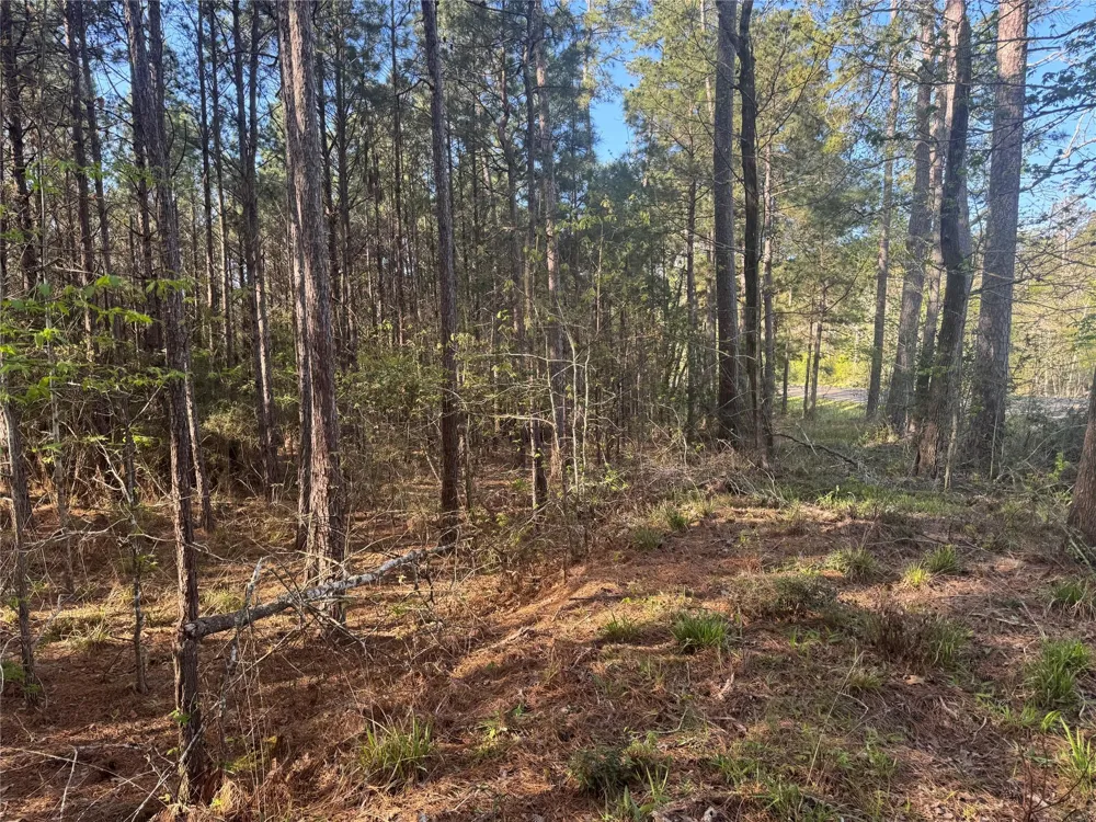 107 Hwy 156 Coldspring, TX 77331