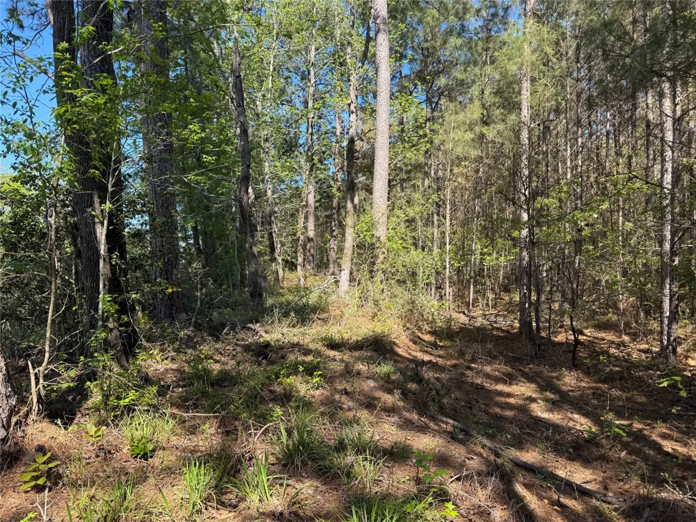107 Hwy 156 Coldspring, TX 77331