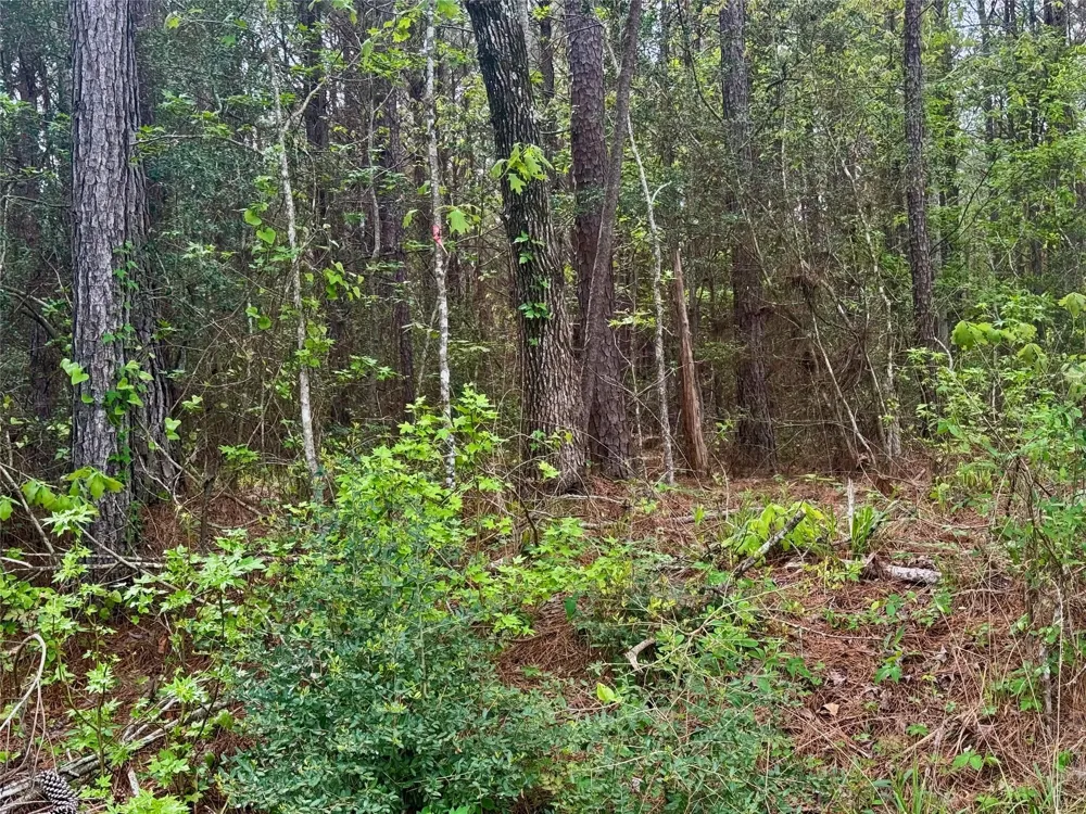 107 Hwy 156 Coldspring, TX 77331