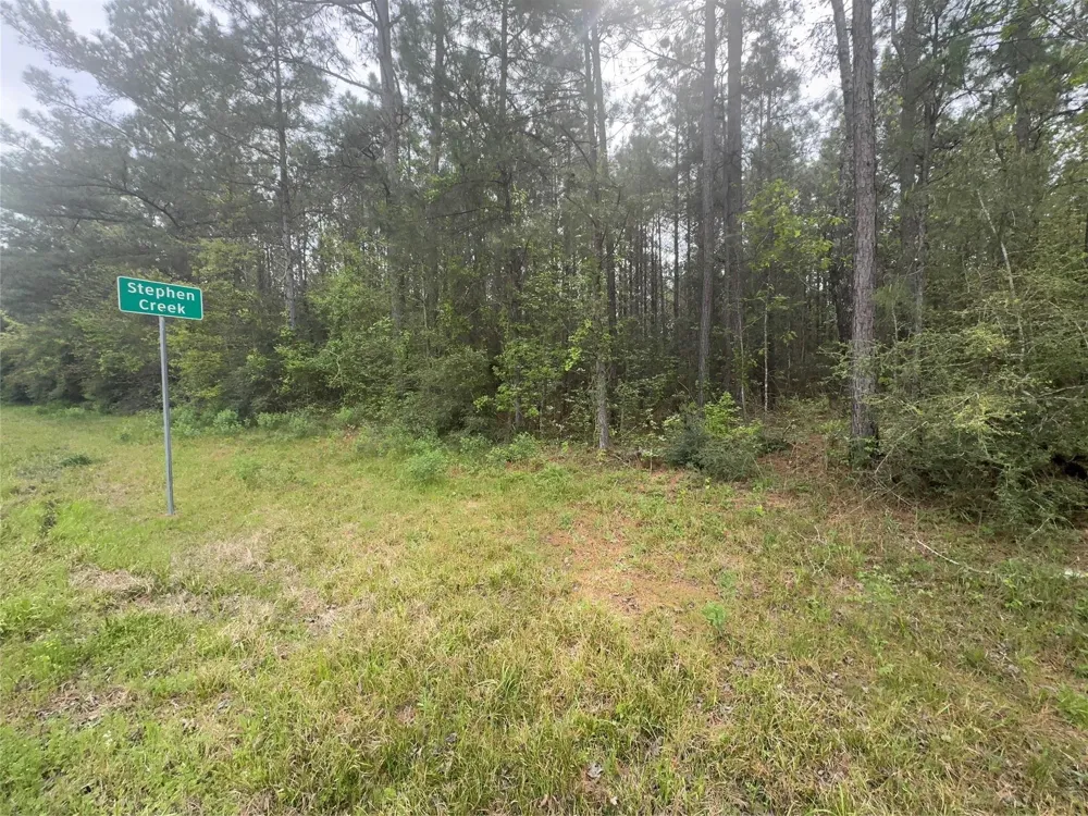 107 Hwy 156 Coldspring, TX 77331
