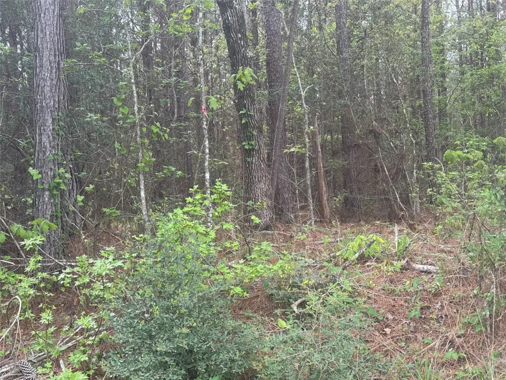 107 Hwy 156 Coldspring, TX 77331