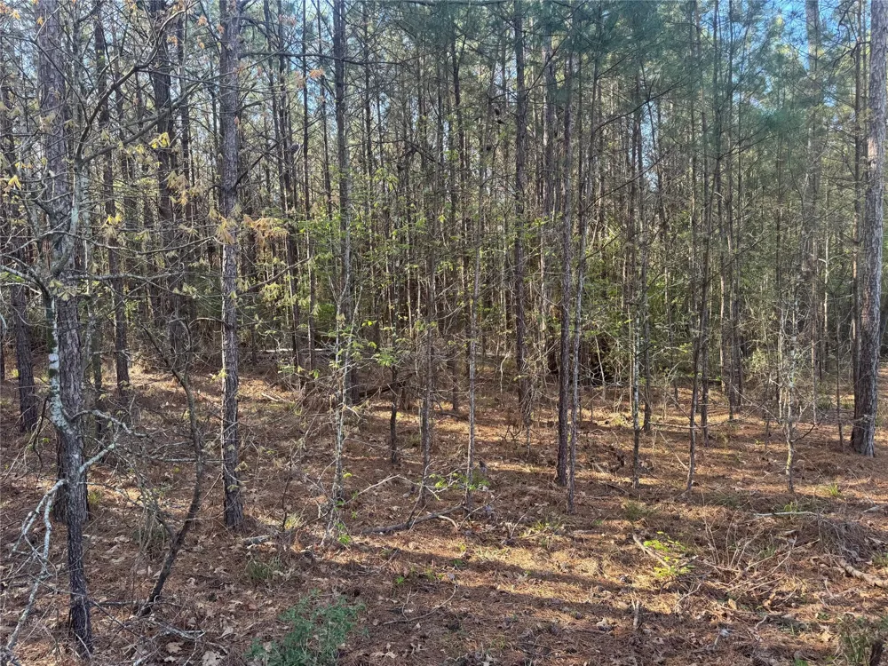 107 Hwy 156 Coldspring, TX 77331
