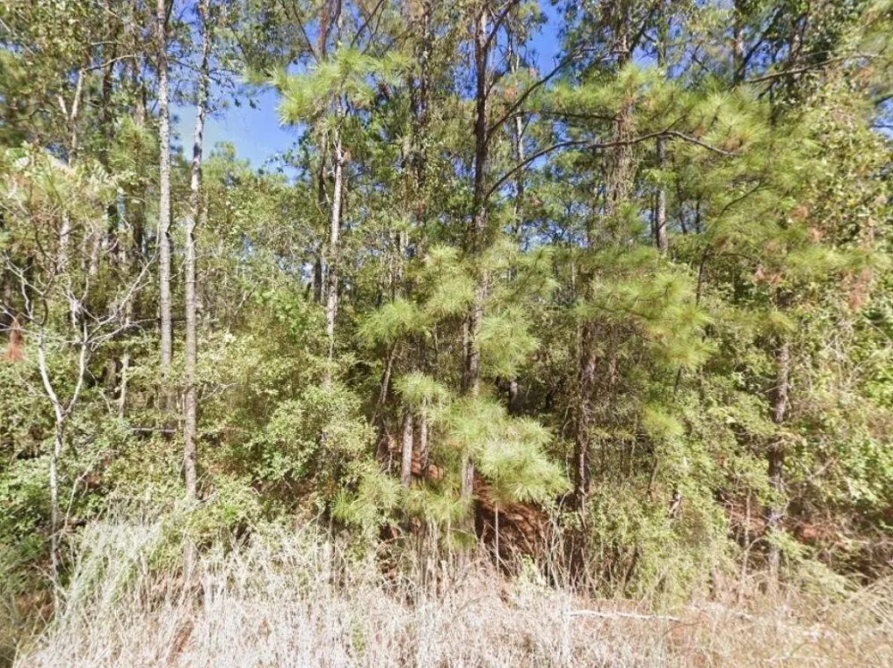 Creekside Harbor Onalaska, TX 77360