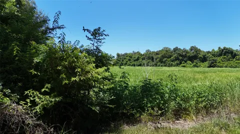 County Road 42