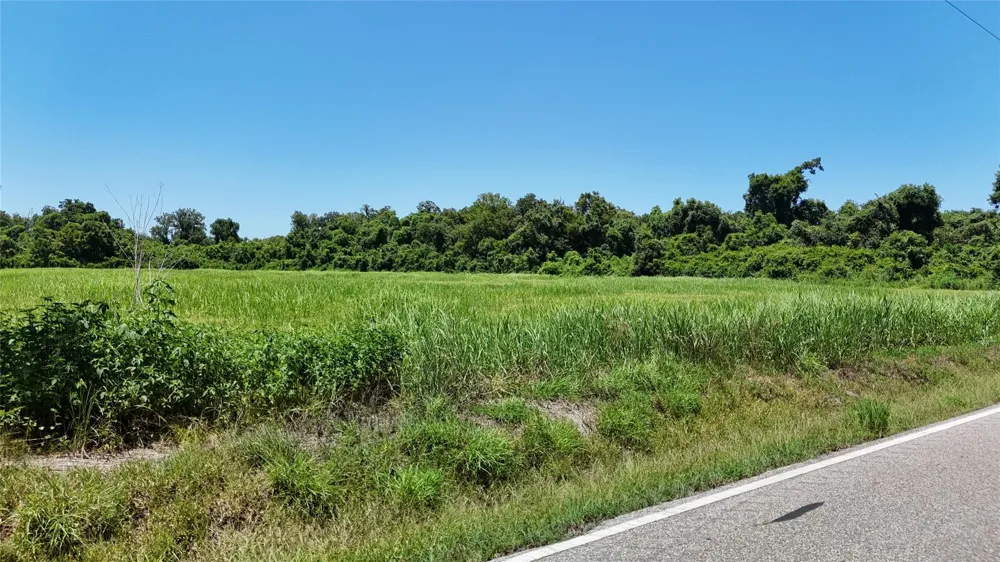 County Road 42 Rosharon, TX 77583