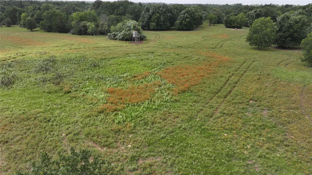 Rose Hill Rd / Pleasant Rd Bremond, TX 77837