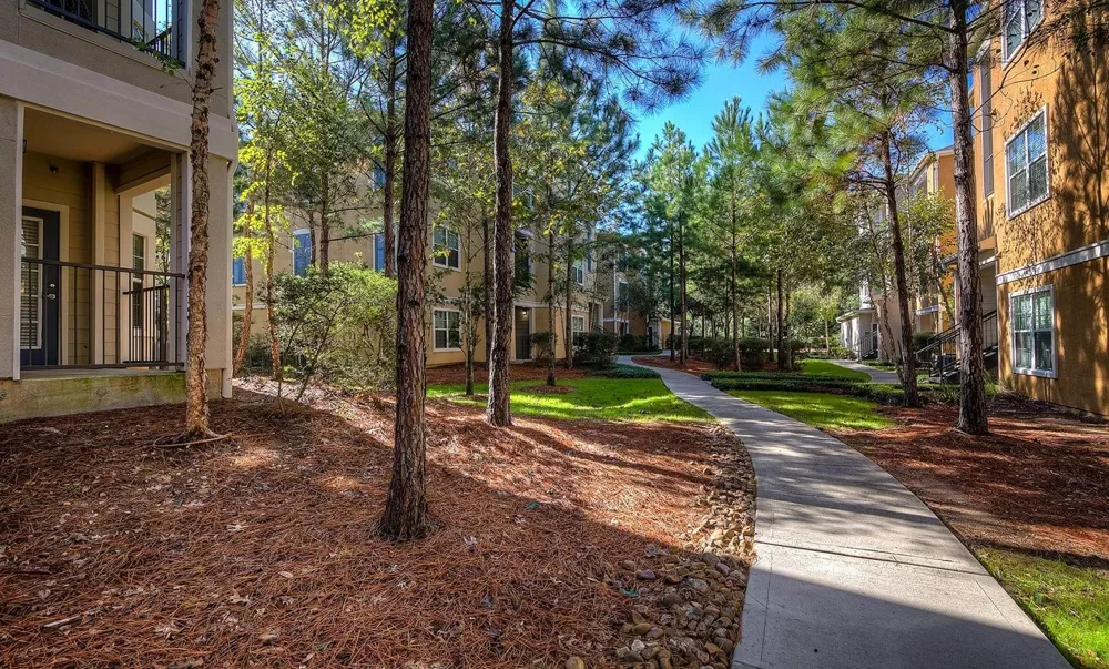 2951 Loop 336 W #924 Conroe, TX 77304