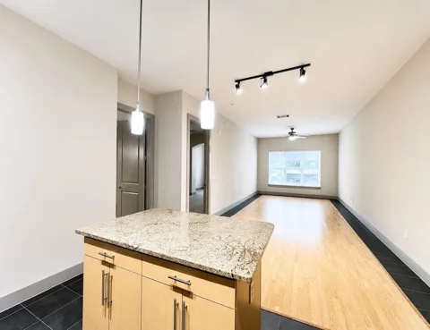 3660 Richmond St Avenue #174