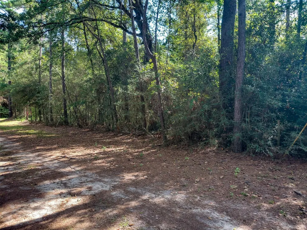 230 Private Road 8305 Woodville, TX 75979
