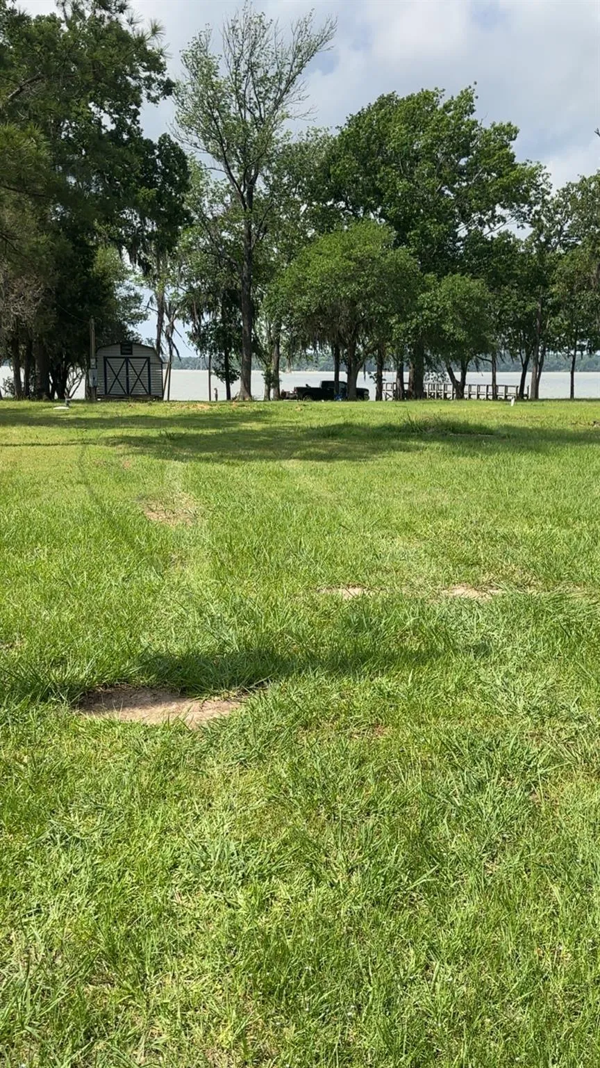 207 Creek Road Trinity, TX 75862