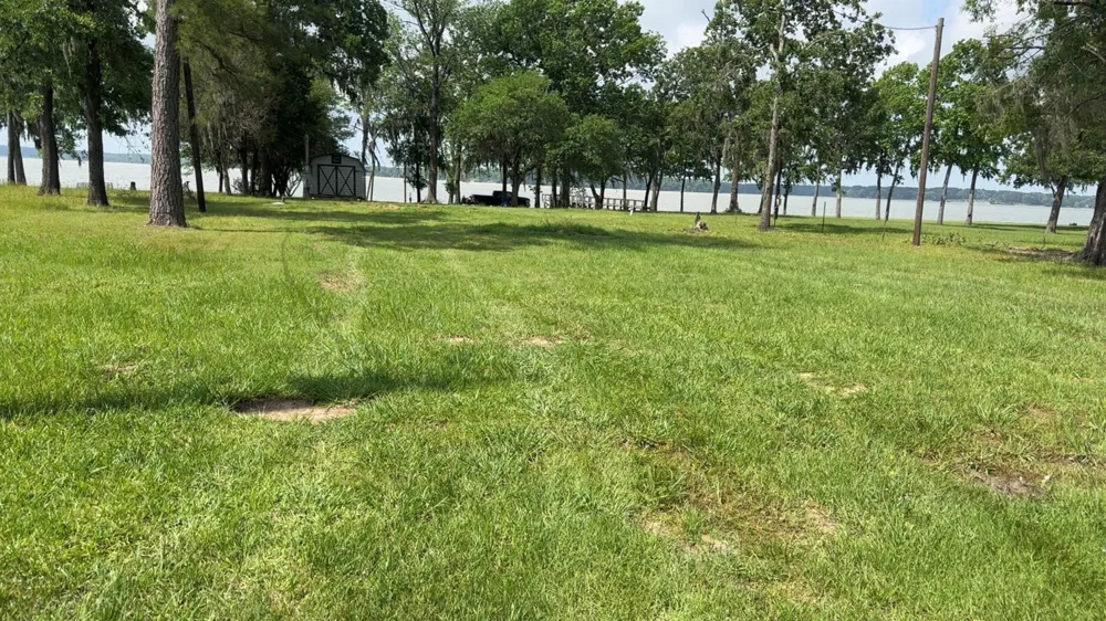 207 Creek Road Trinity, TX 75862