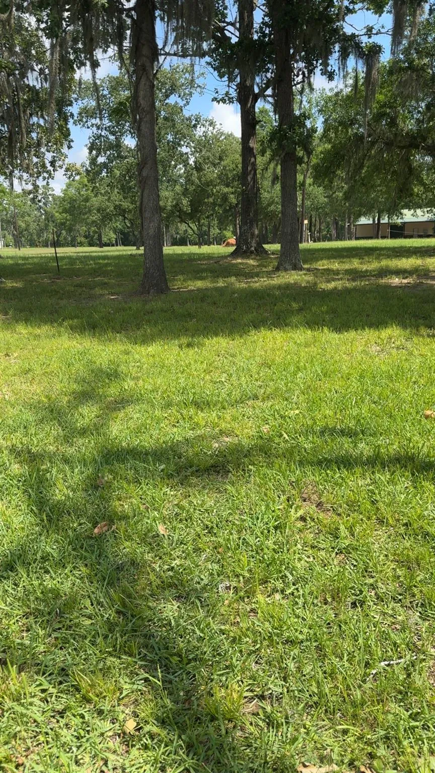 207 Creek Road Trinity, TX 75862