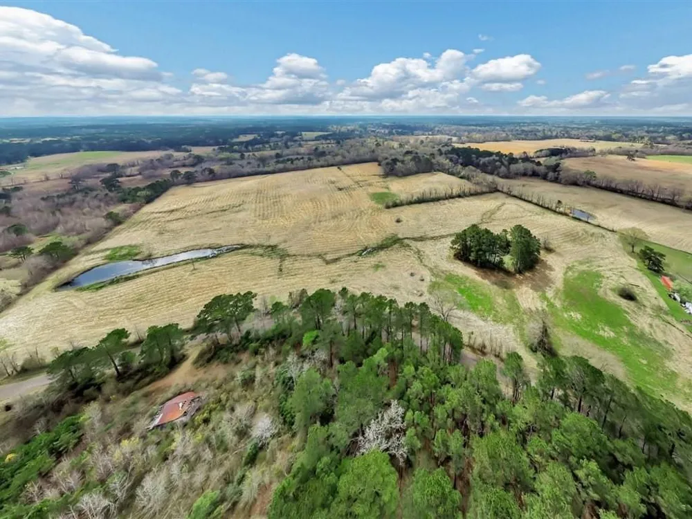 28104 Gilliland Creek Road Huntington, TX 75949
