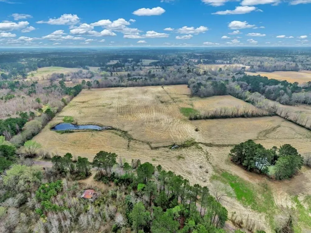 28104 Gilliland Creek Road Huntington, TX 75949