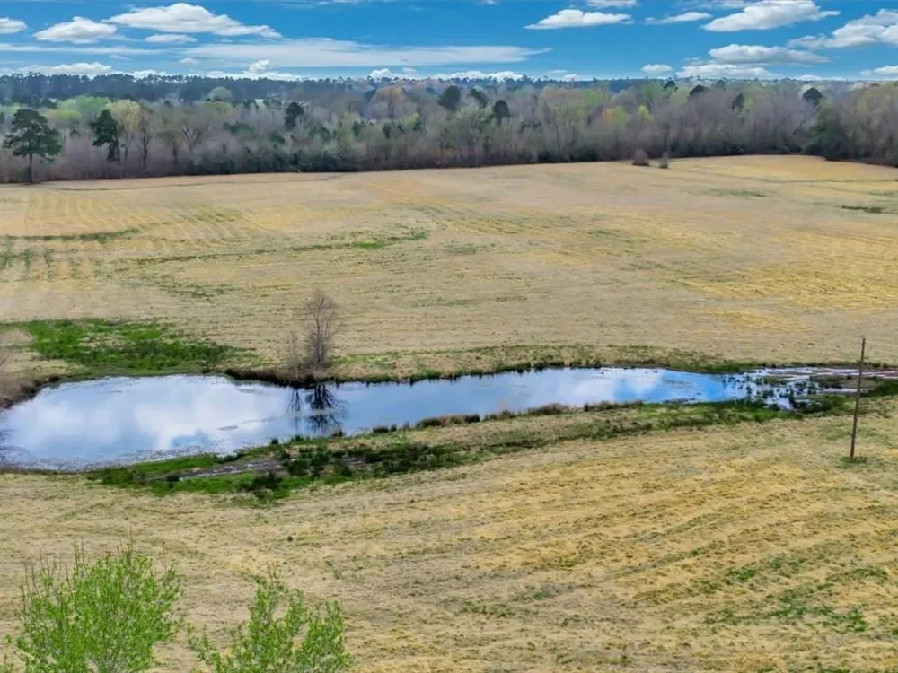 28104 Gilliland Creek Road Huntington, TX 75949