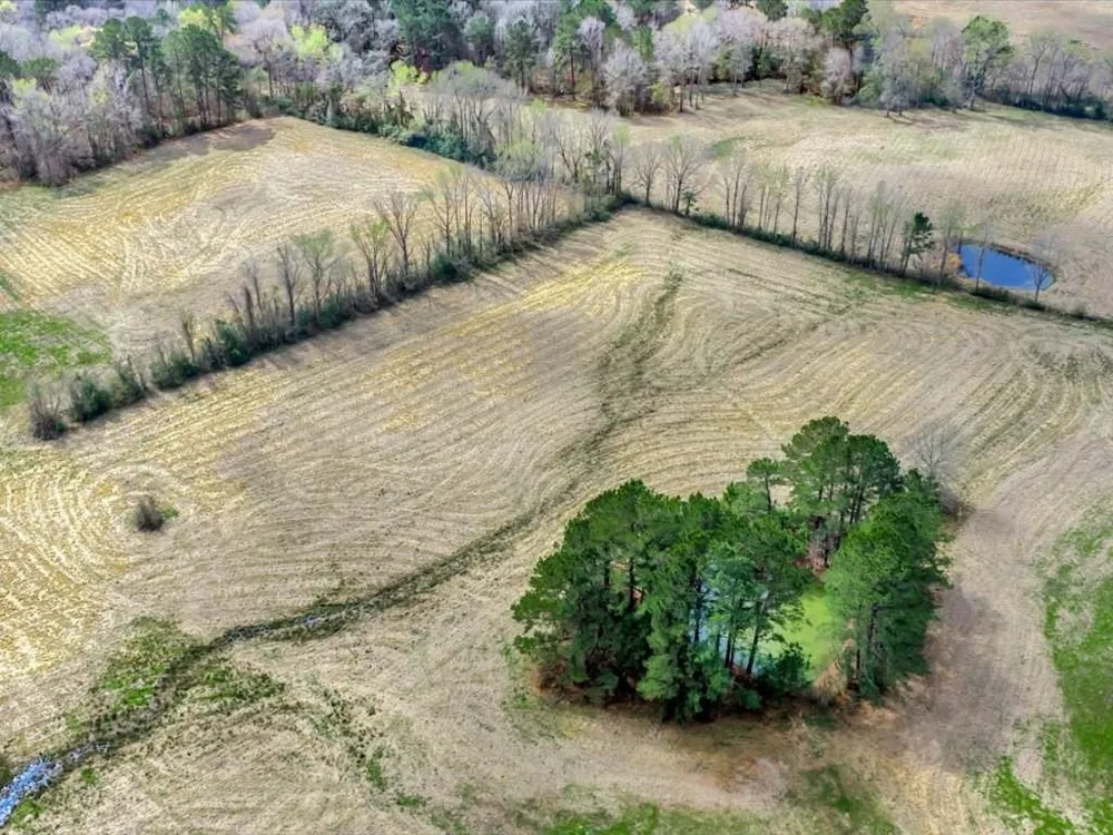 28104 Gilliland Creek Road Huntington, TX 75949